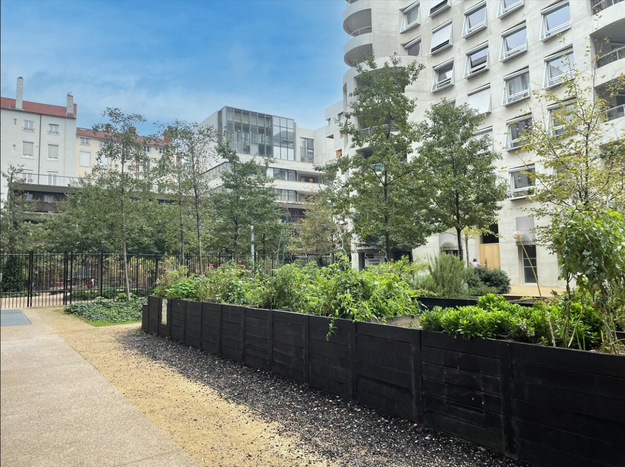 Bureau Lyon 895m² Location bureau Lyon Rhône OLBUR2426245 7